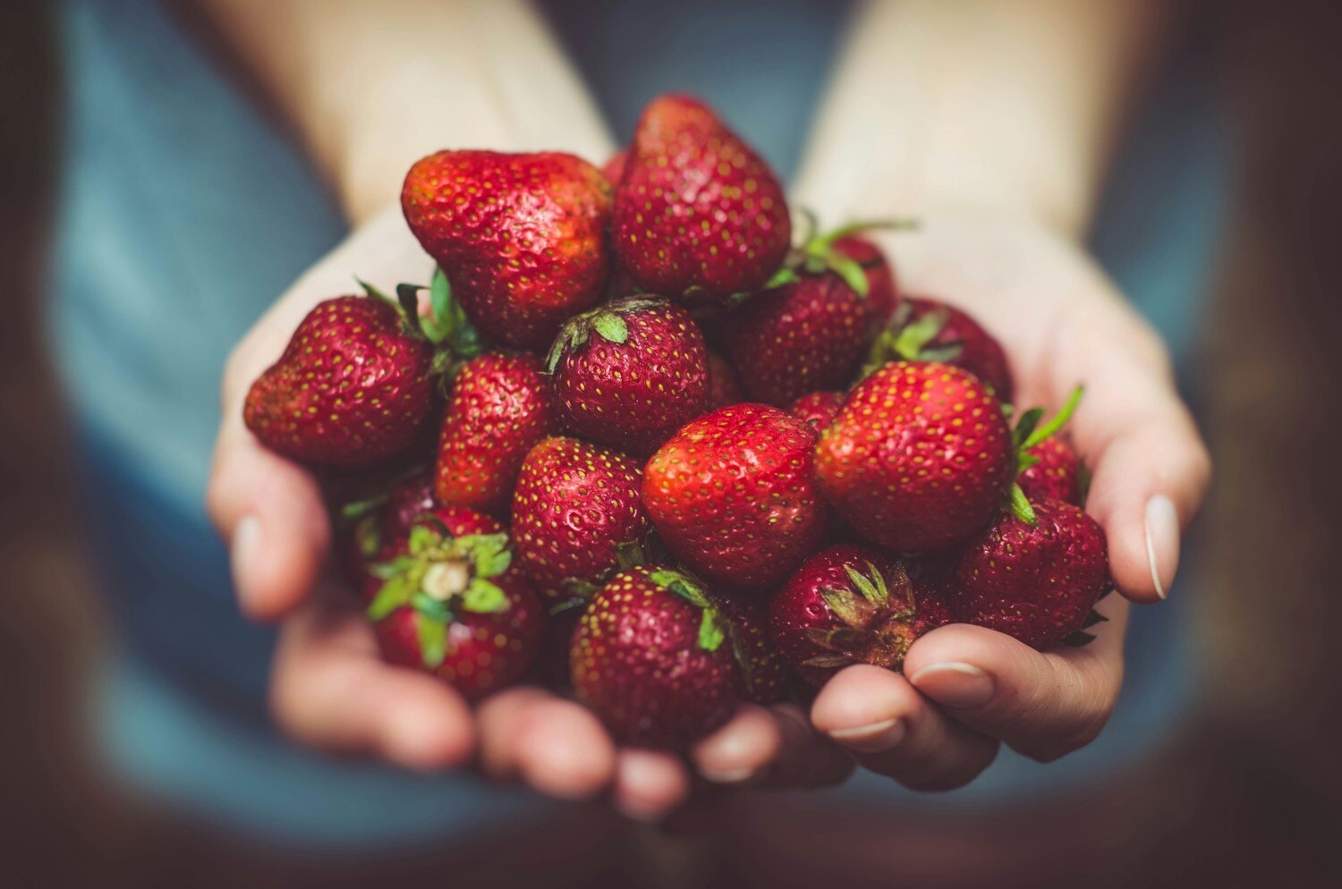 Strawberries - Image credit Arturrro